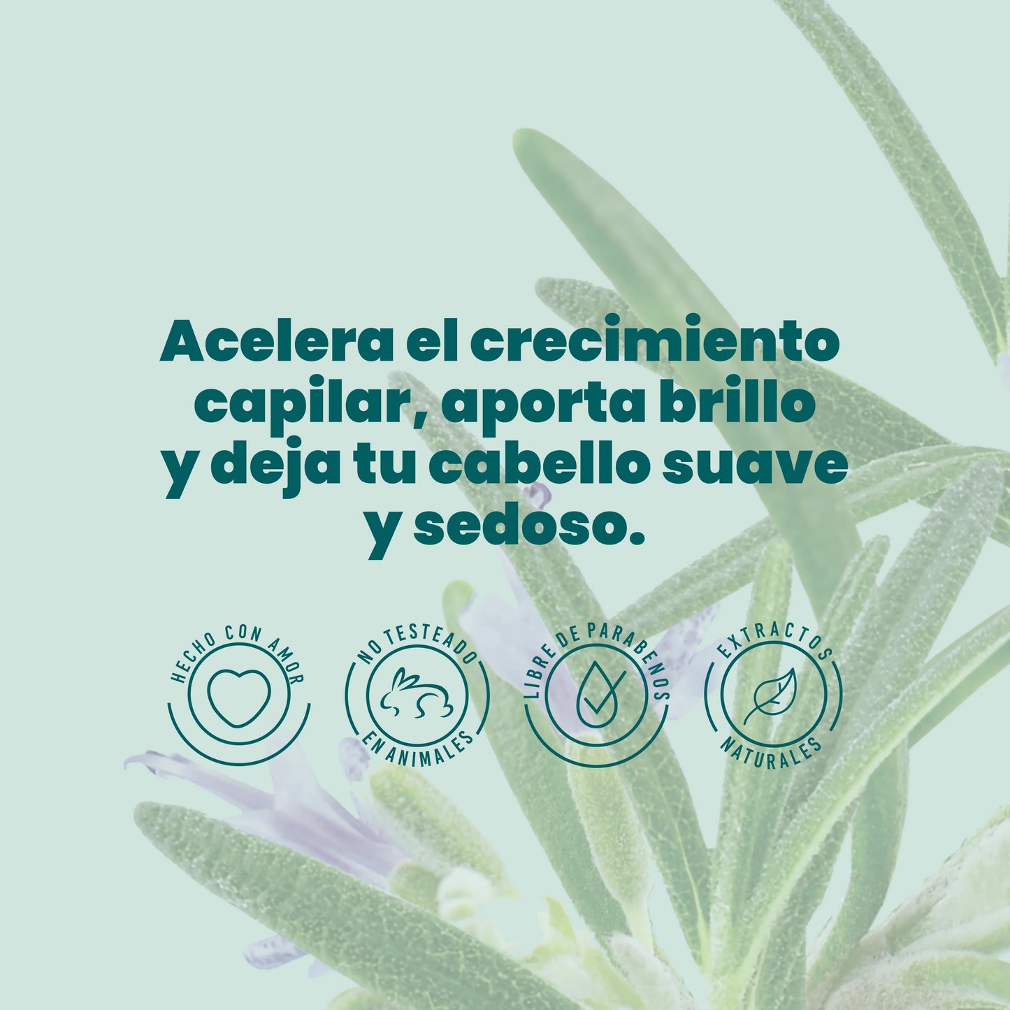 Shampoo Con Romero - Anyeluz