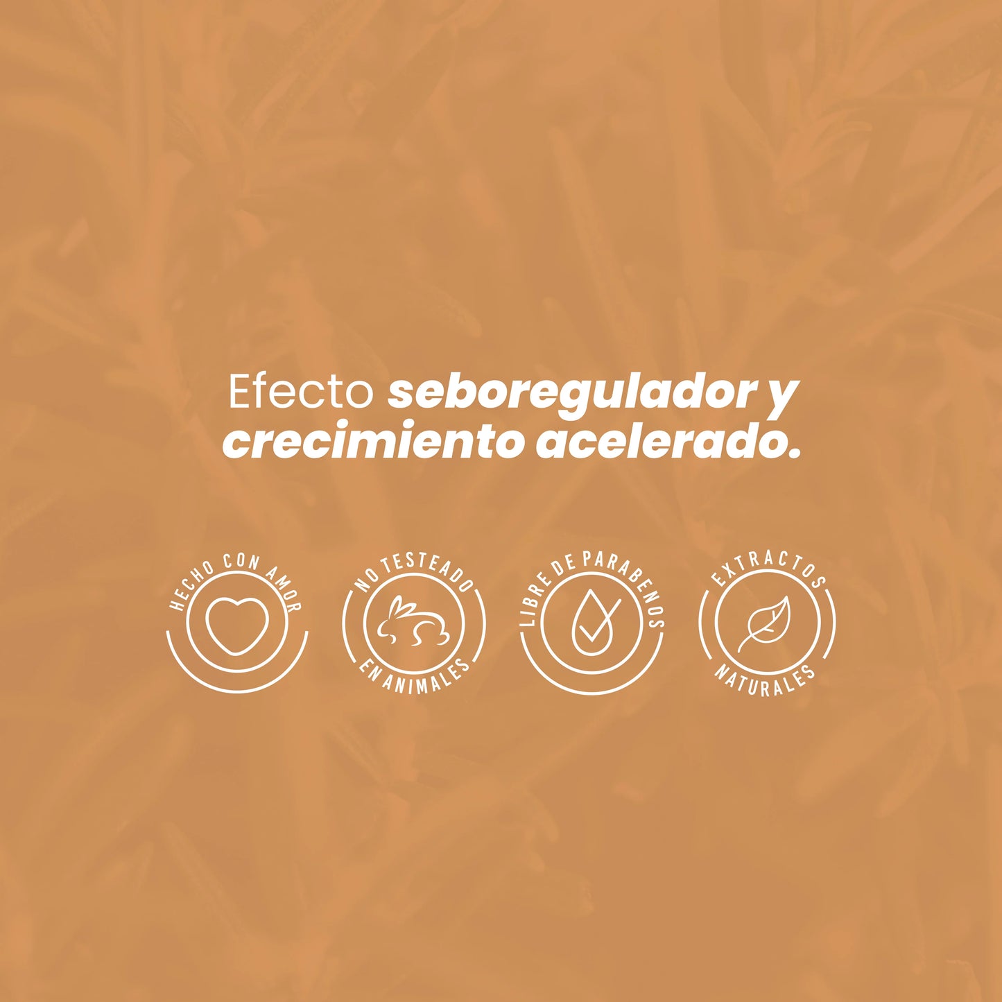 Potencializador De Romero 110mL - Anyeluz