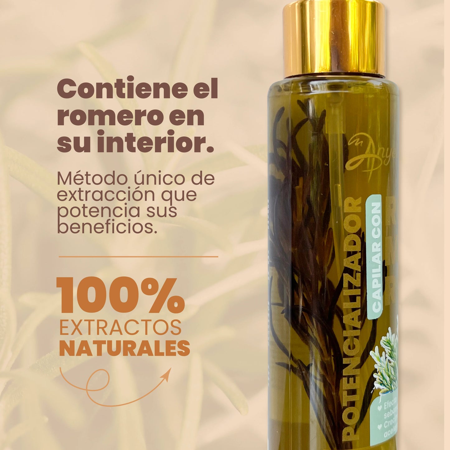 Potencializador De Romero 110mL - Anyeluz