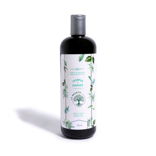 Shampoo de Argán Para Cabello Seco 500 ML - La Receta