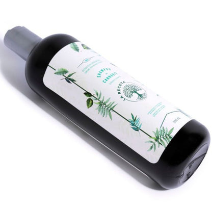 Shampoo de Argán Para Cabello Seco 500 ML - La Receta