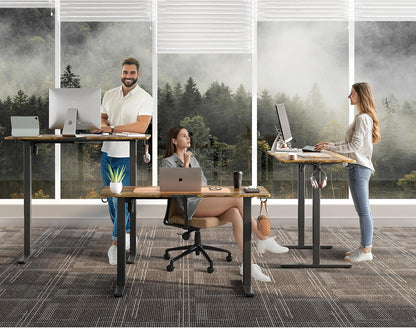 Escritorio Eléctrico De Altura Ajustable, De 60 X 120 Cm