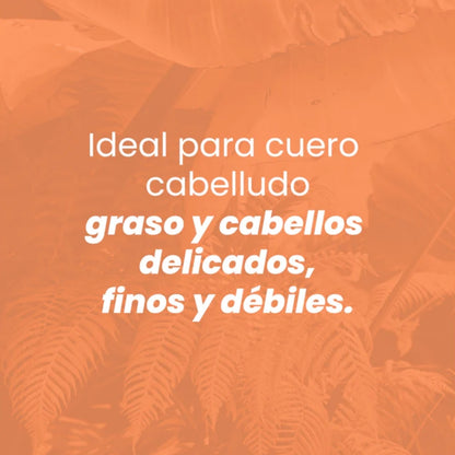 Shampoo Con Ginseng - Anyeluz