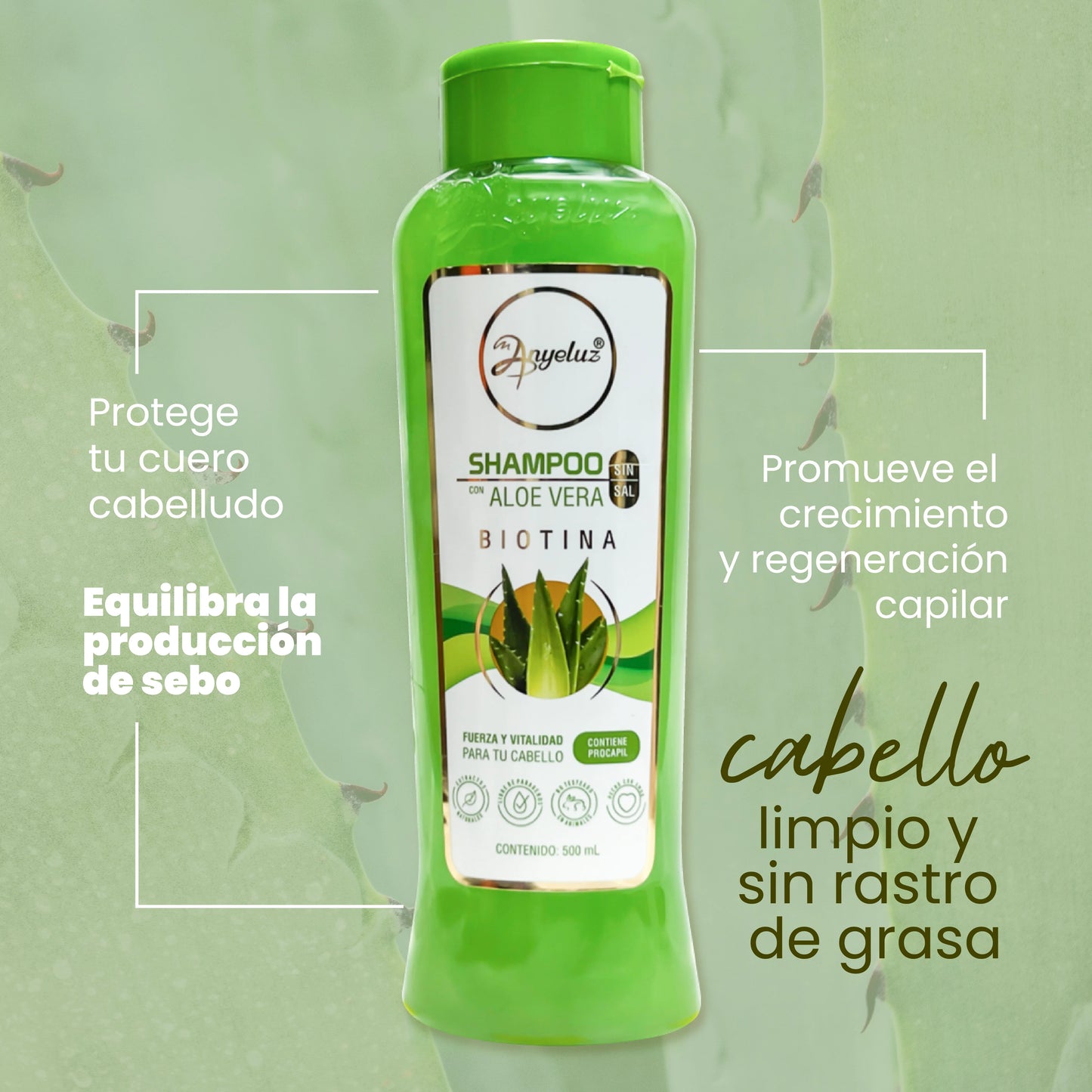 Shampoo De Aloe Vera - Anyeluz