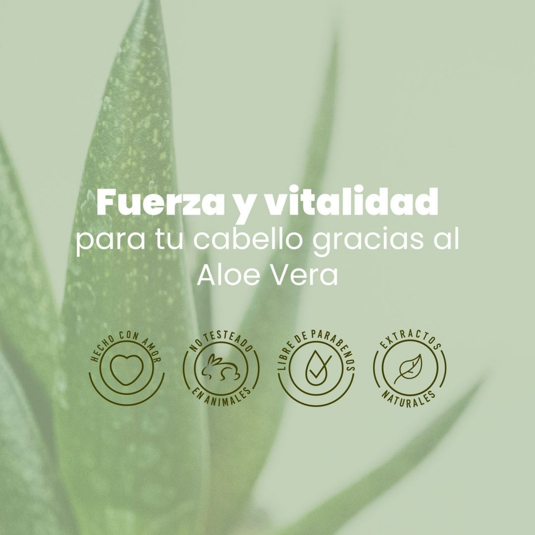 Shampoo De Aloe Vera - Anyeluz