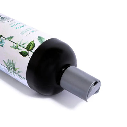 Shampoo de Romero Para Cabello Graso La Receta 450 ML - Kaba
