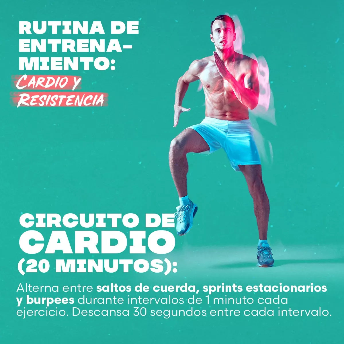 Presprt Fuxion Rendimiento Gym