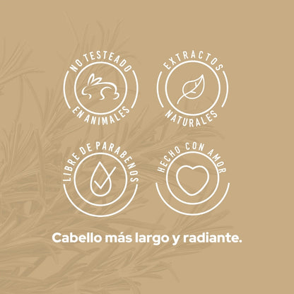 Shampoo Con Romero - Anyeluz