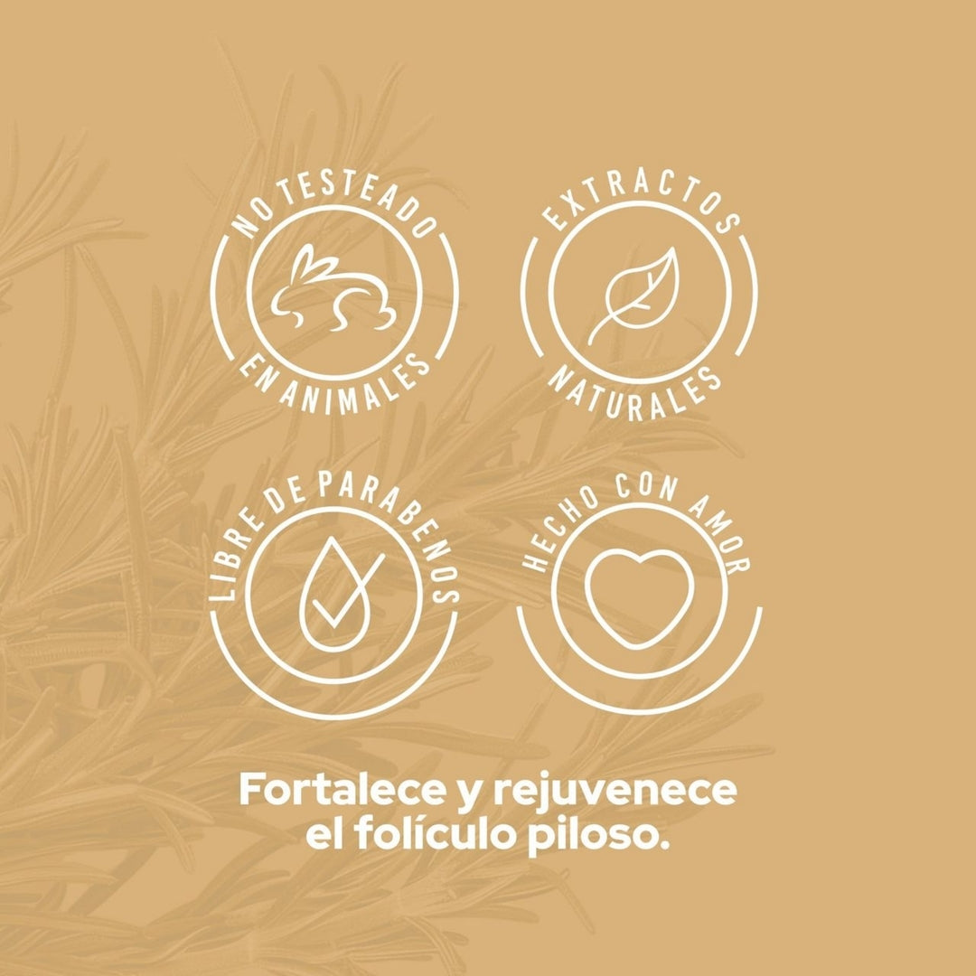 Potencializador De Romero 110mL - Anyeluz