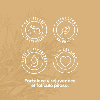 Potencializador De Romero 110mL - Anyeluz