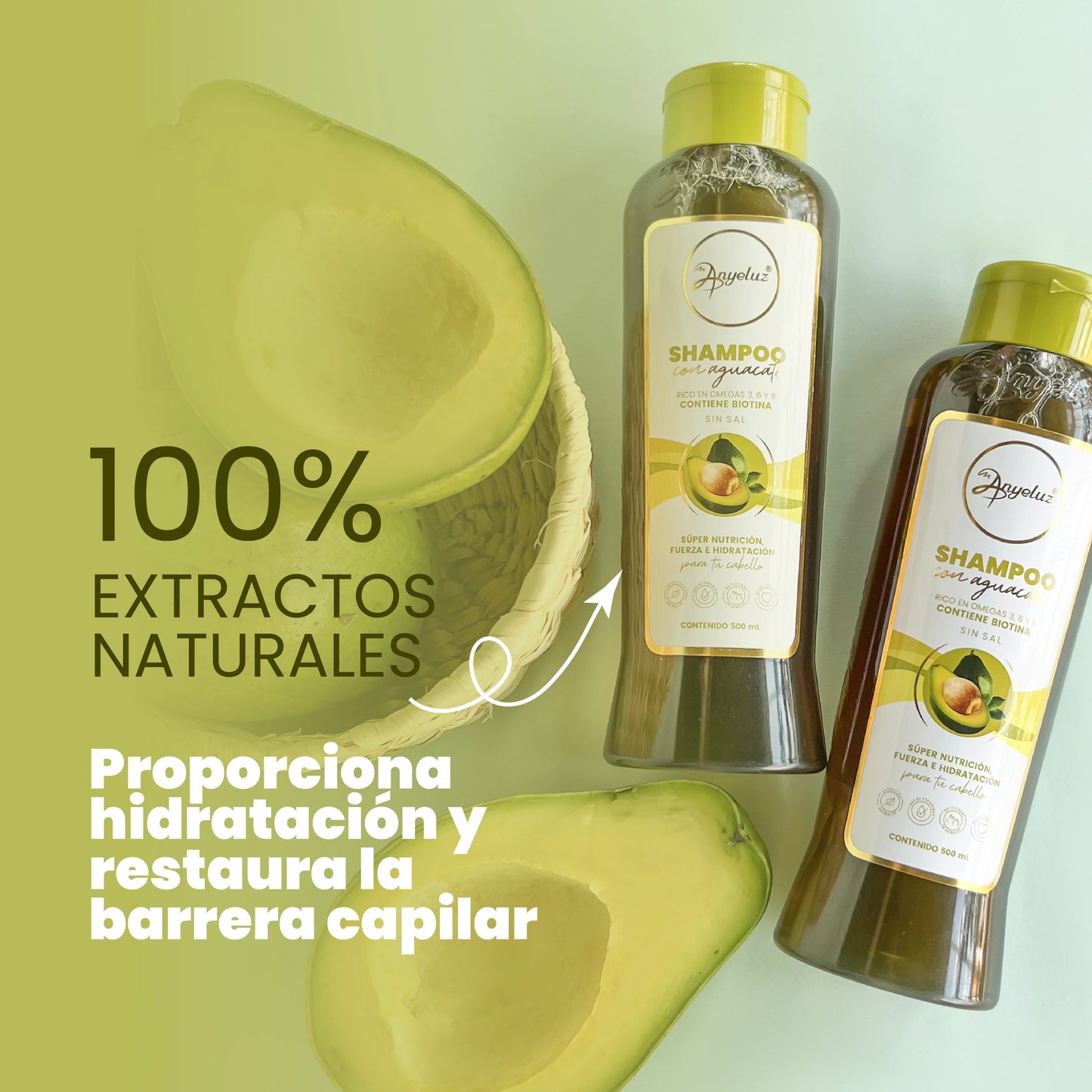 Shampoo Con Aguacate - Anyeluz