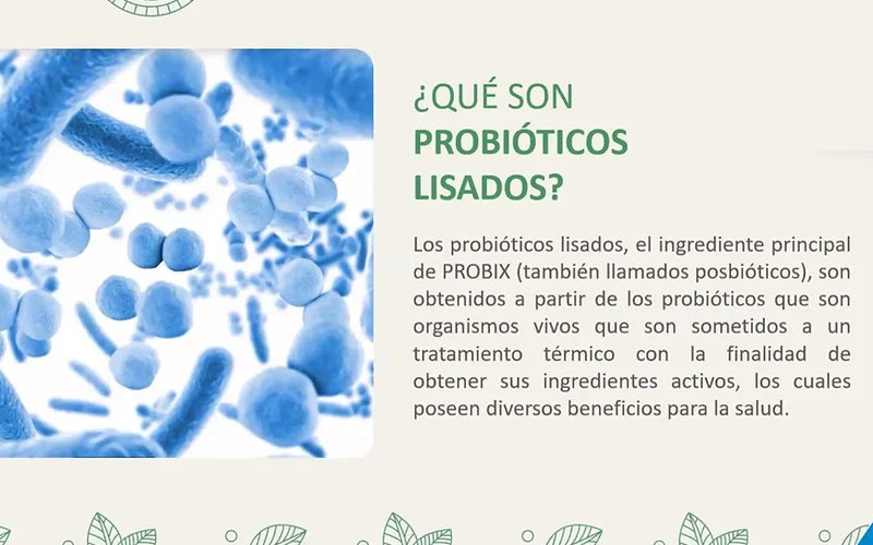 Probix Fuxion Probiótico Lisado