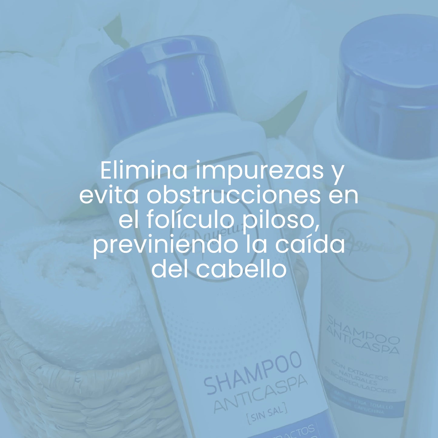 Shampoo Anticaspa - Anyeluz