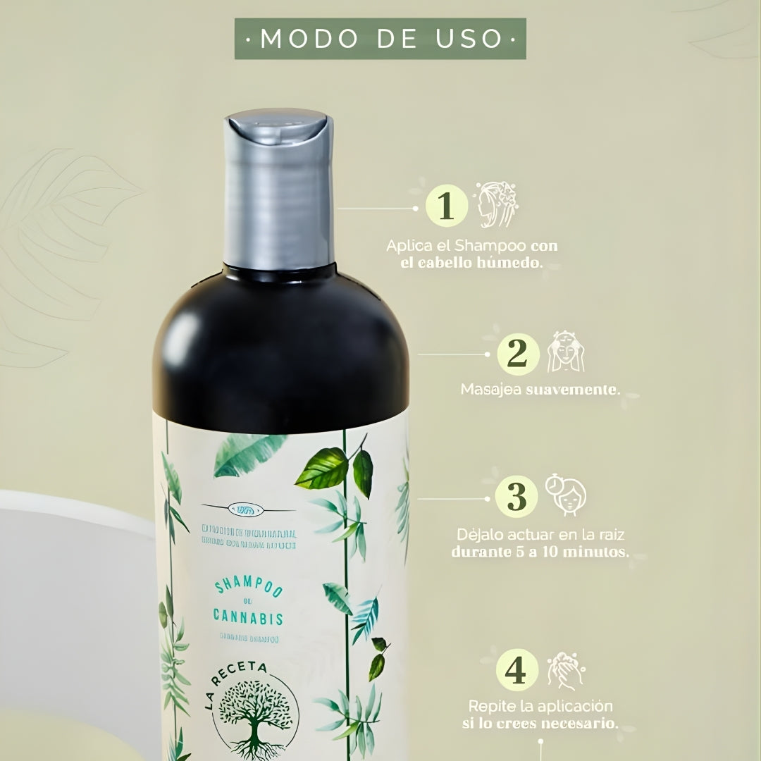 Shampoo de Argán Para Cabello Seco 500 ML - La Receta